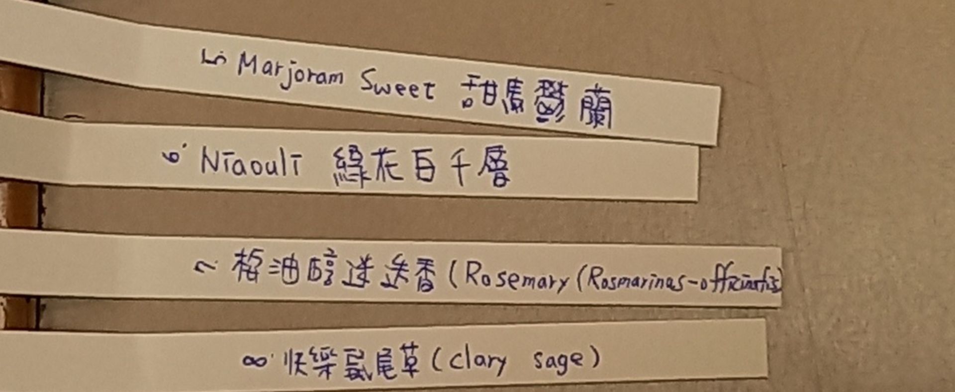 112學年度第1學期文康活動-香氛精油20231226