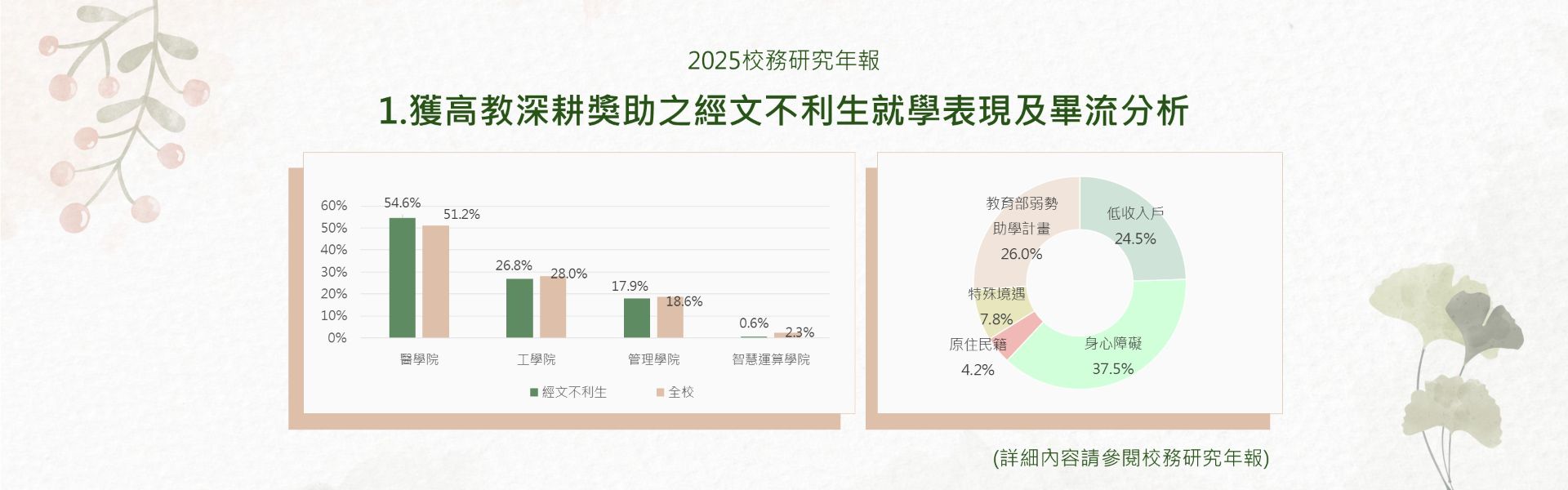 2025校務研究年報