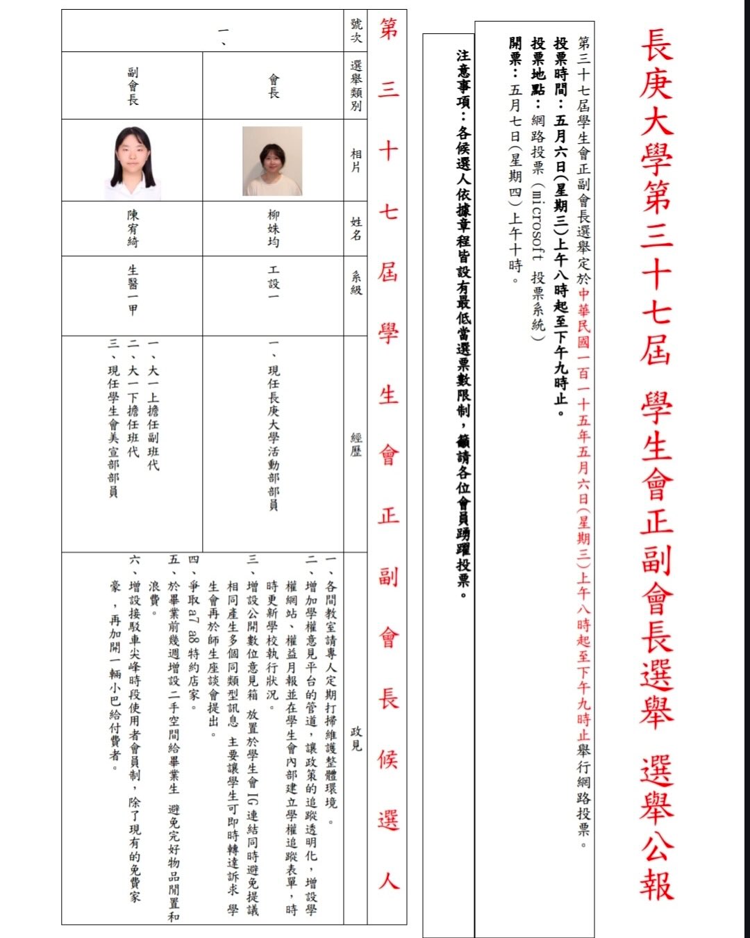  選舉公報