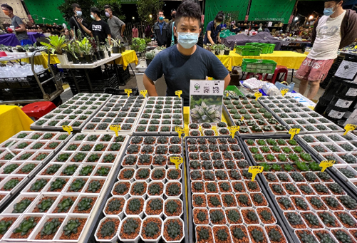 許世賢校友科技栽種成果參與秋季多.png