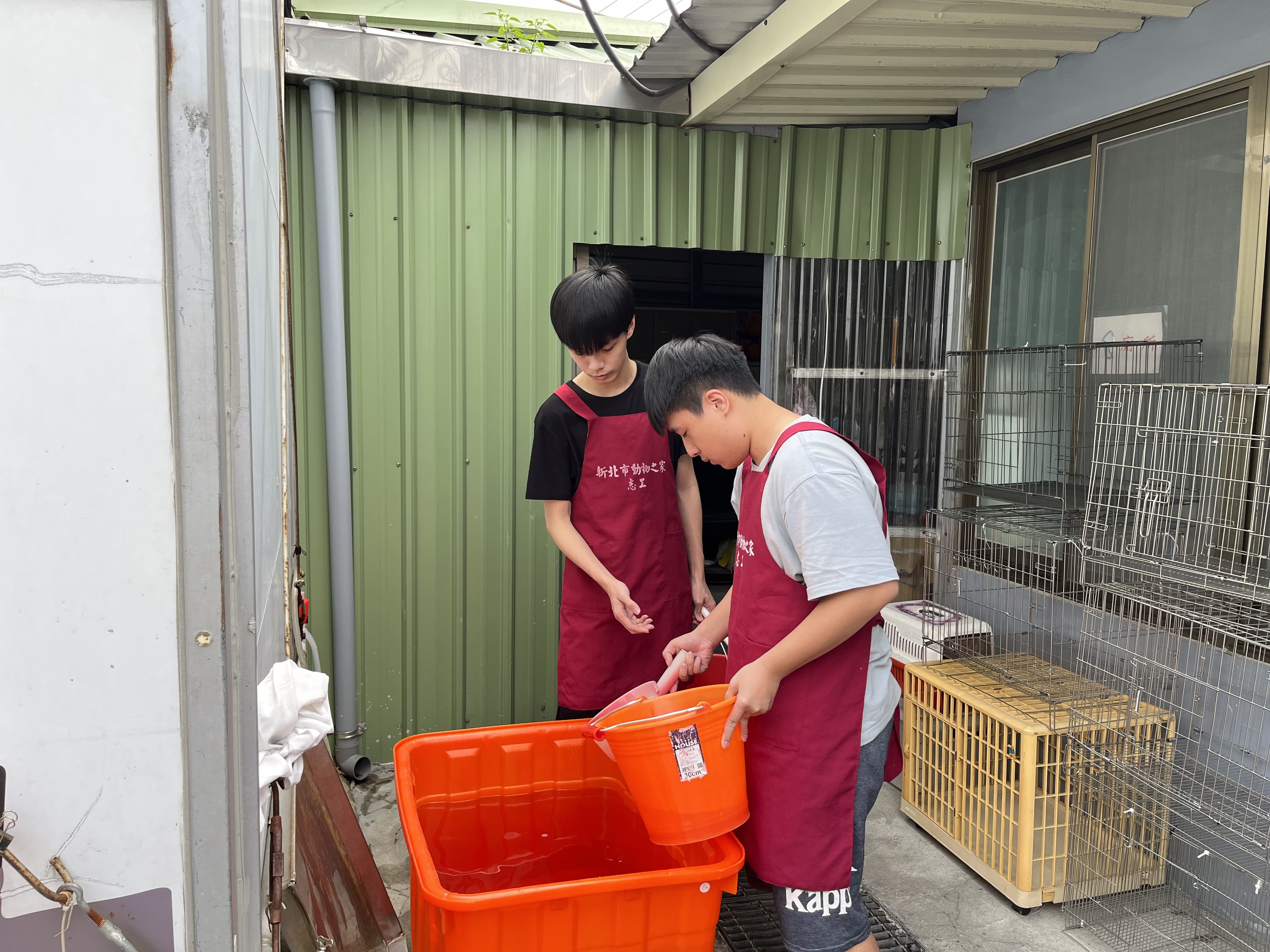 板橋動物之家服務活動