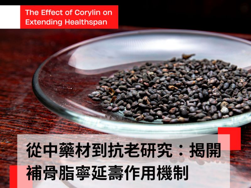 科學新知_補骨脂寧Corylin延長健康壽命