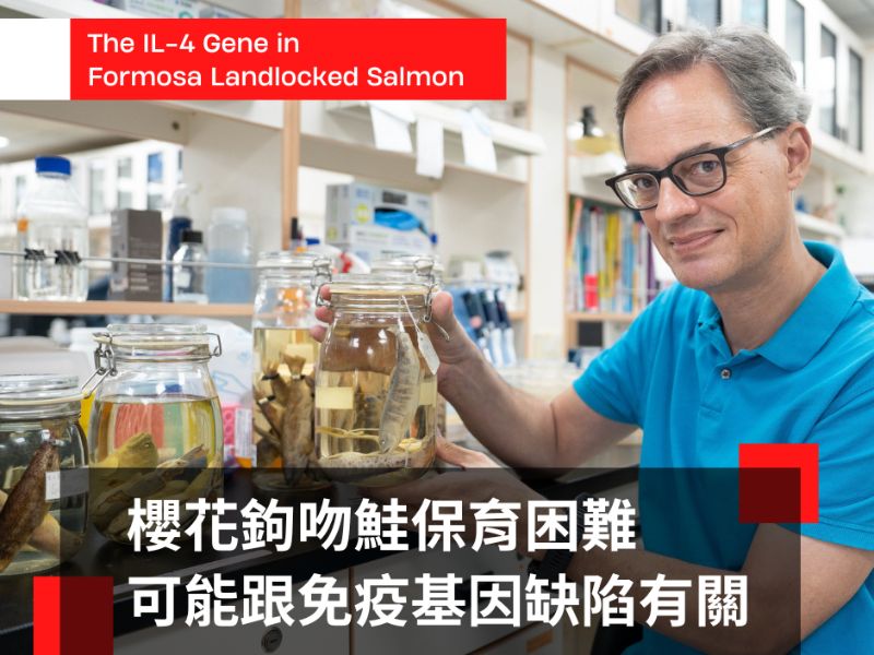科學新知專欄Banner_長庚大學團隊發現櫻花鉤吻鮭免疫基因的缺陷.jpeg