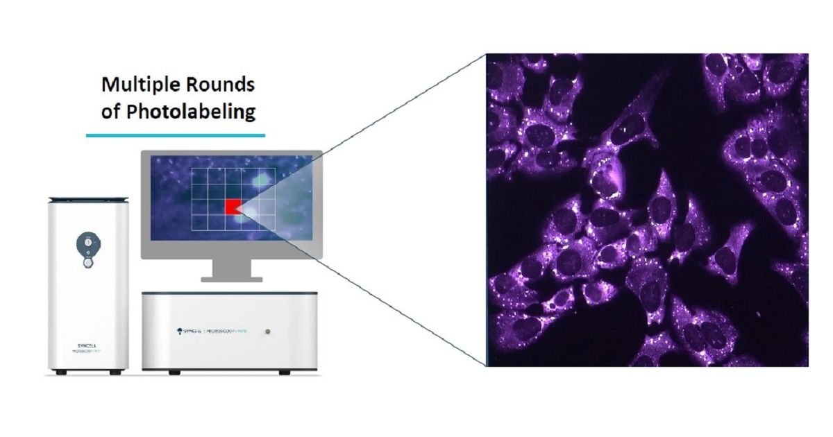 螢幕擷取畫面 2026-01-15 161528.jpg