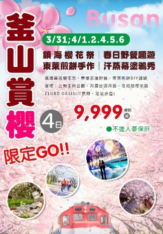 釜山賞櫻