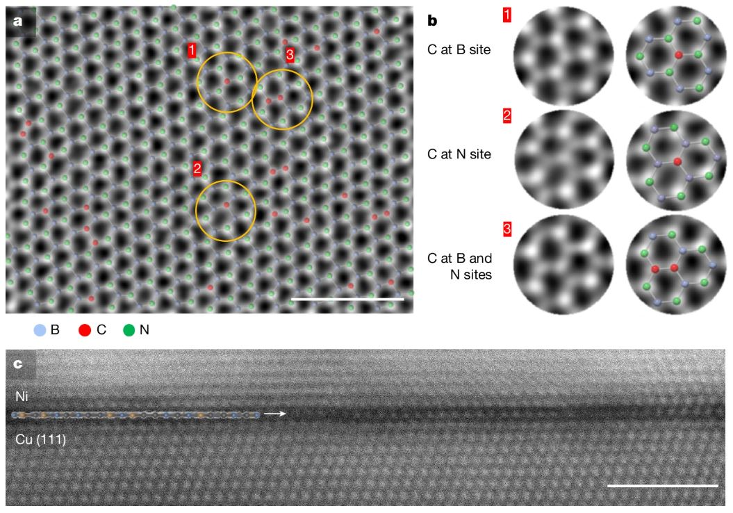 Atomically resolved HR-STEM images of monolayer BCN film.
