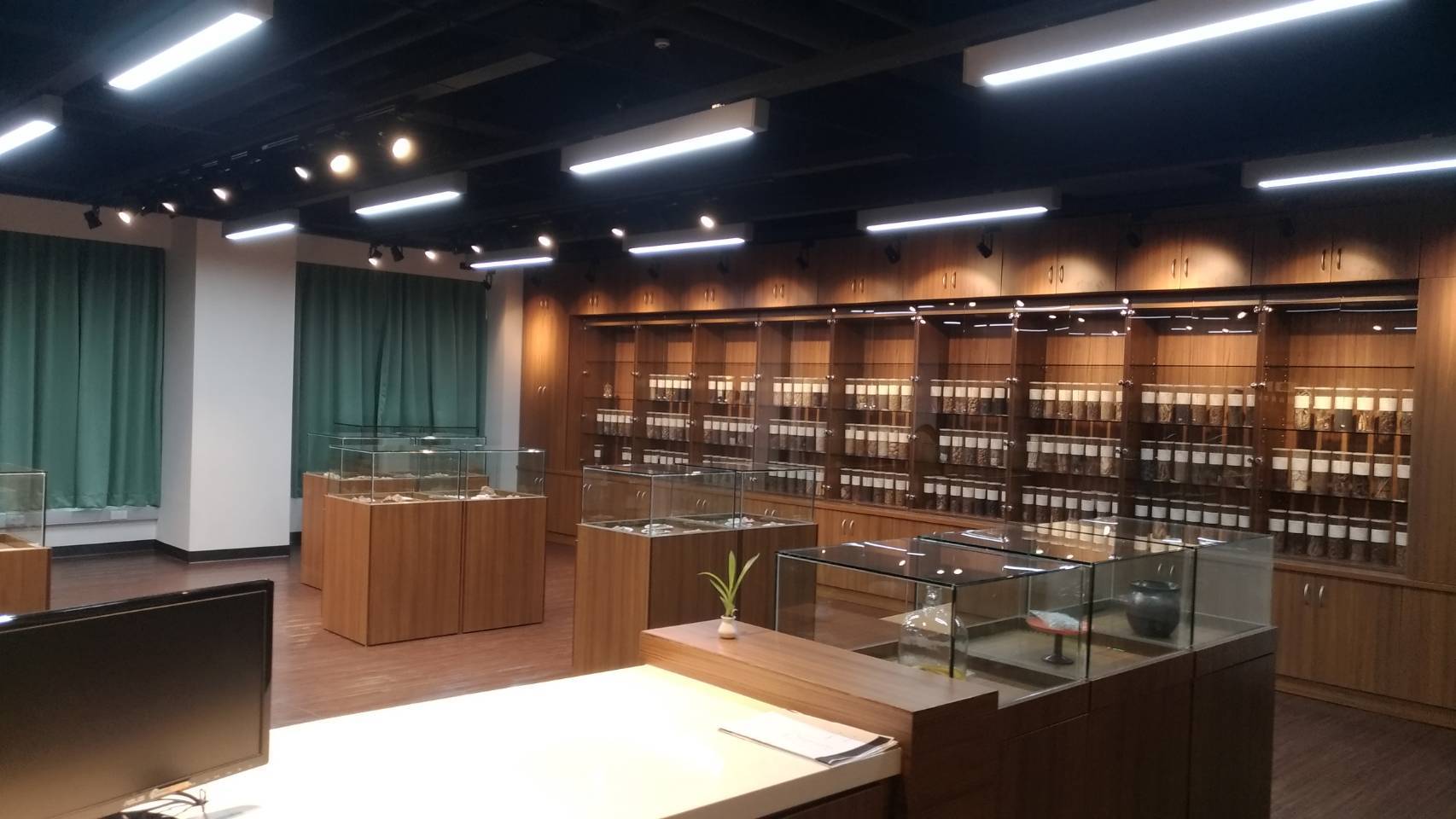 展示櫃區&標本區