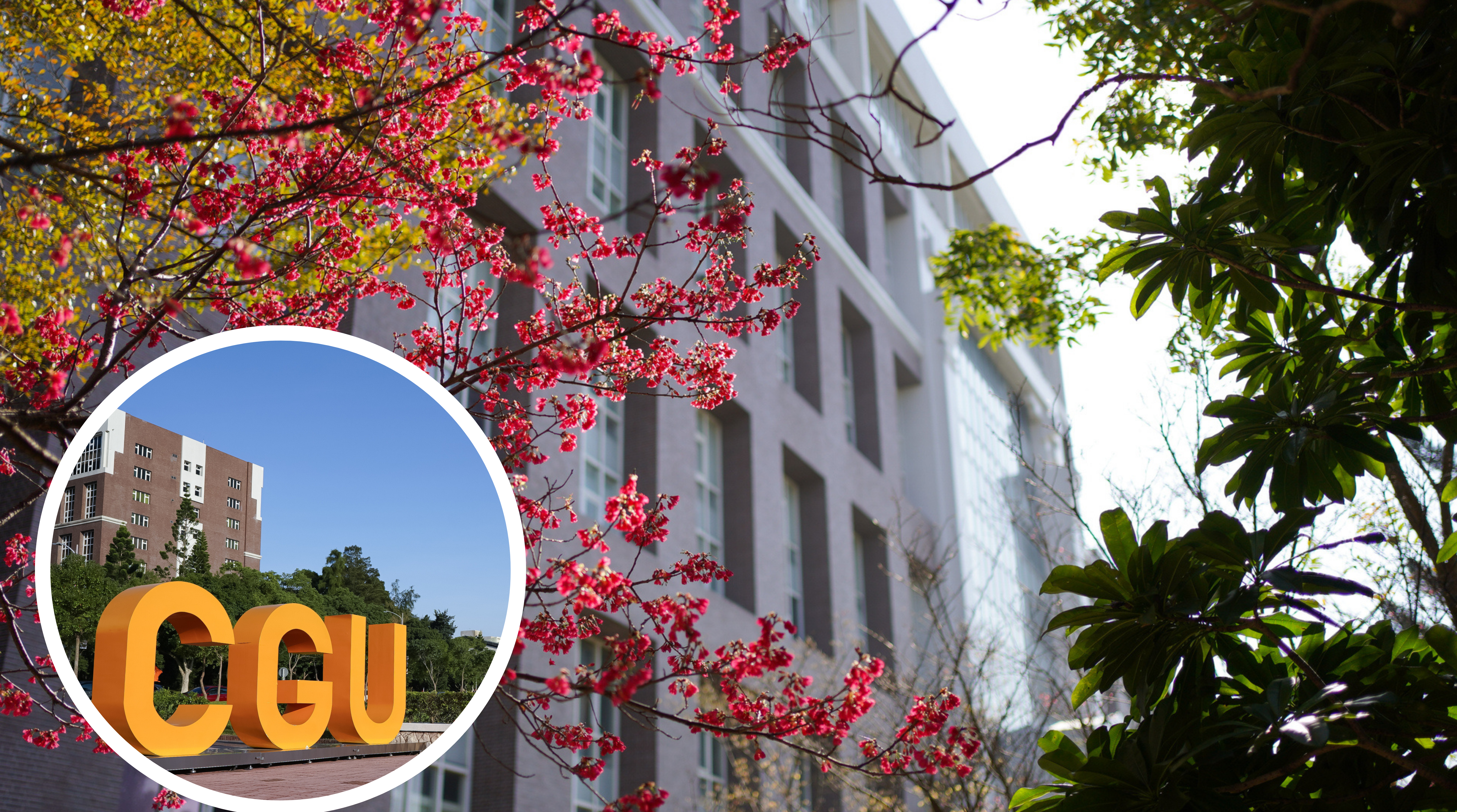 Blue and Grey Aesthetic Summer Photo Collage.png