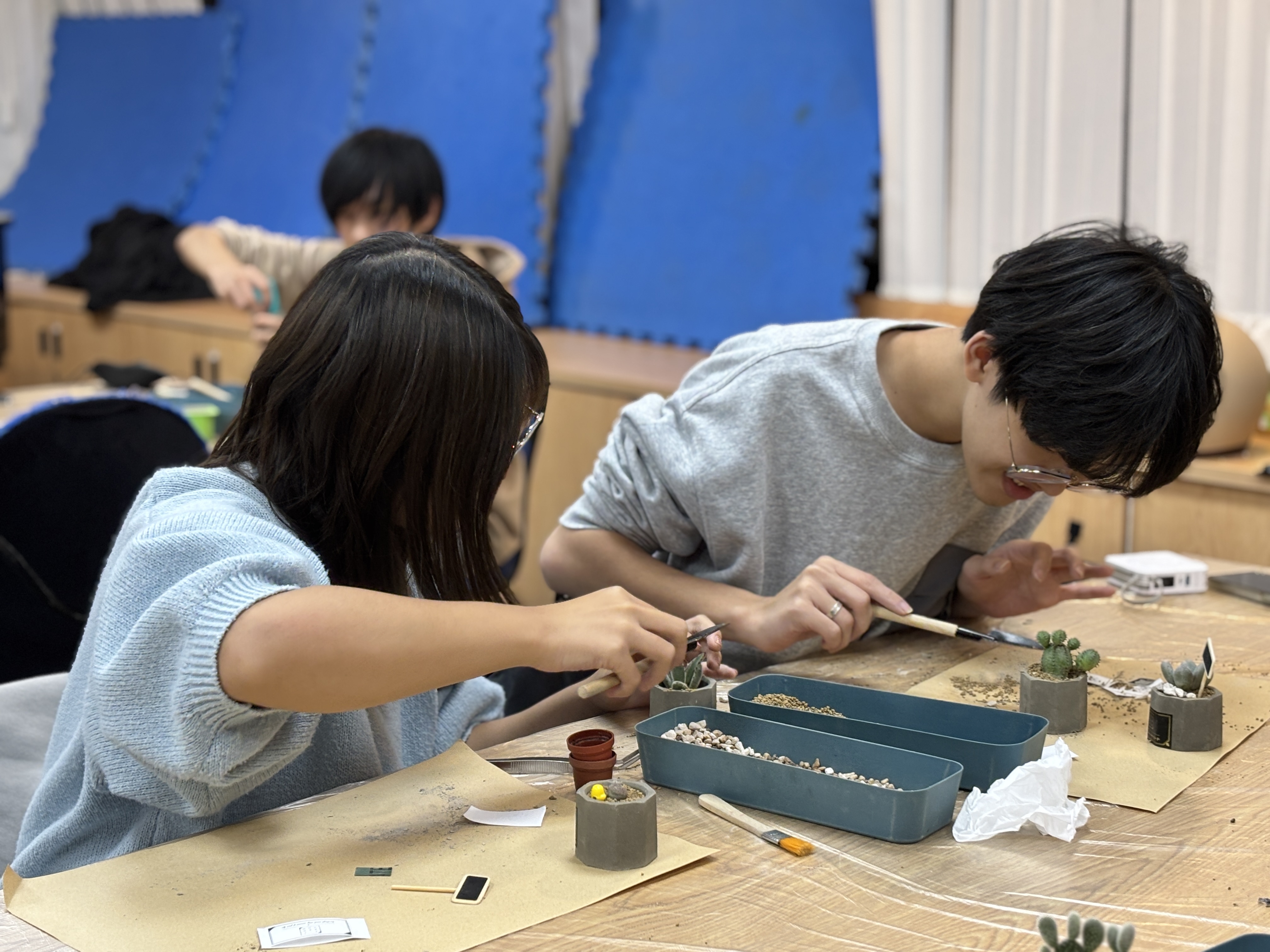 多肉工作坊活動相片