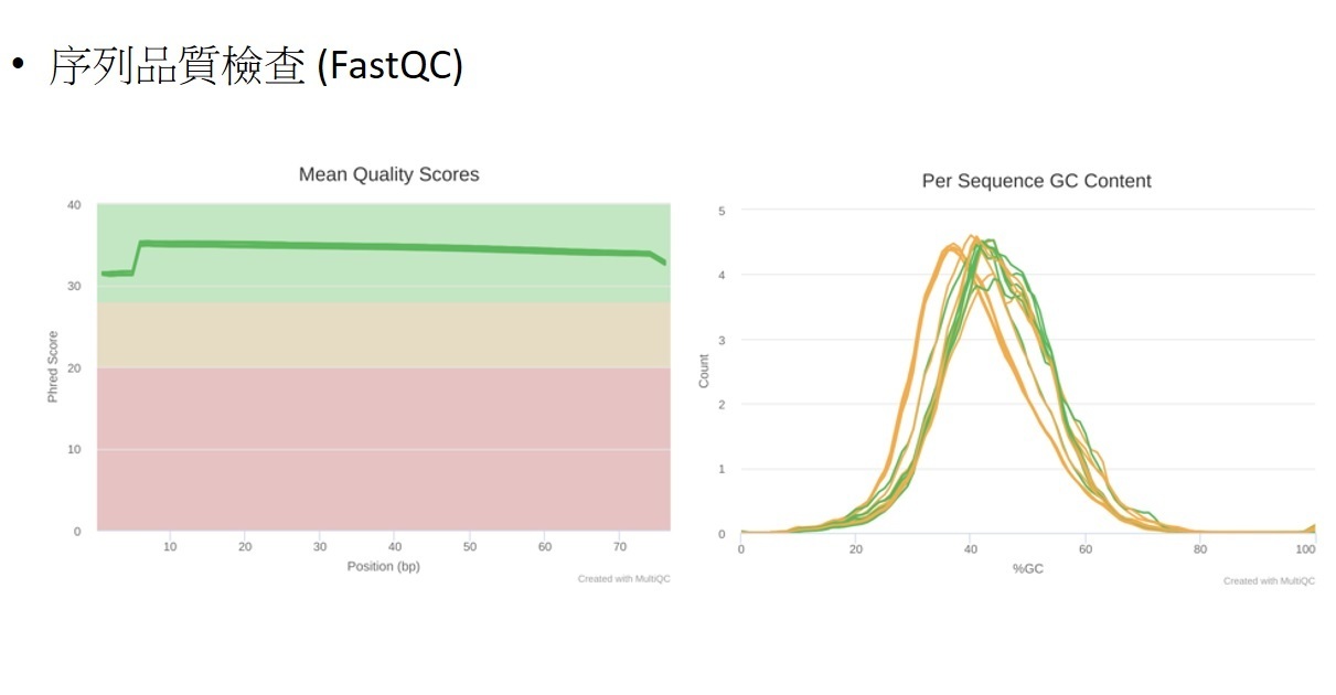 FASTQC