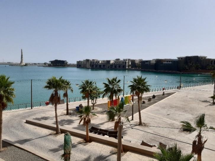 A beach with palm trees and a body of water in the background Description automatically generated with medium confidence