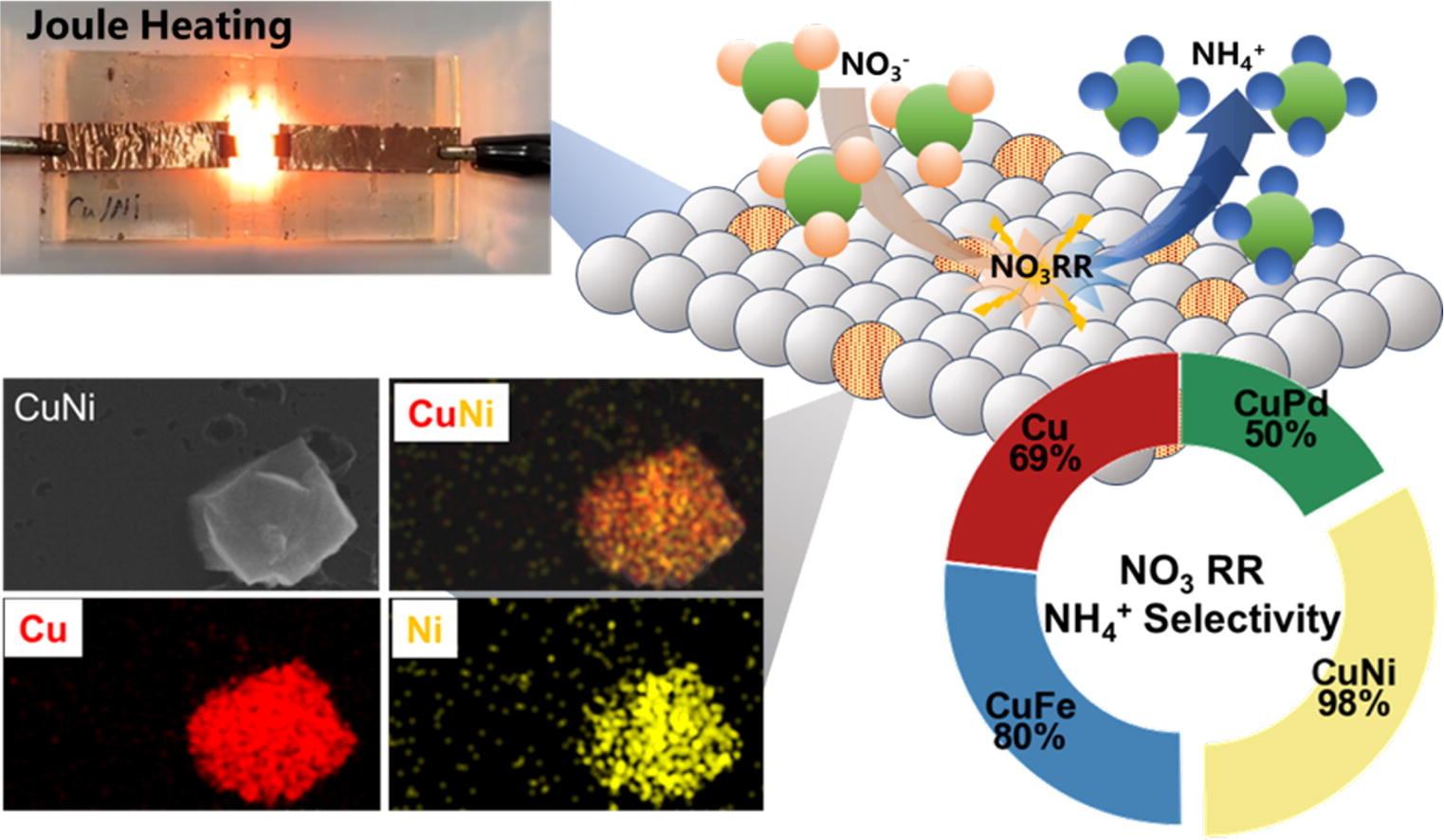 Separation and Purification Technology