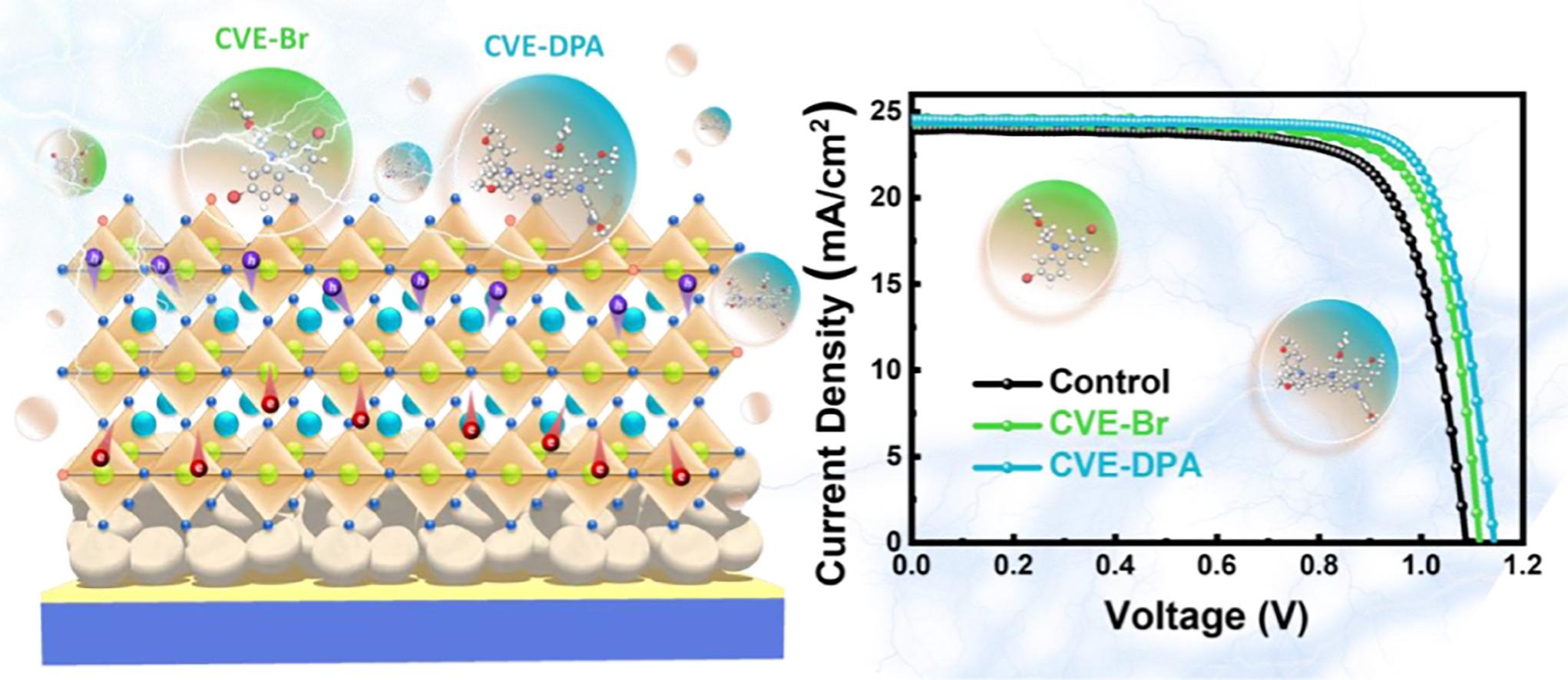Side chain modulated carbazole-based bifunctional hole-shuttle interlayer simultaneously improves interfacial energy level alignment and defect passivation in high-efficiency perovskite solar cells