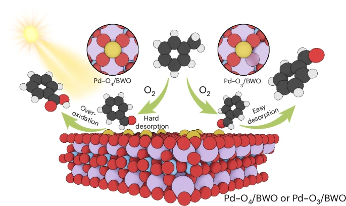 Regulation of Pd single-atom coordination for enhanced photocatalytic oxidation of toluene to benzaldehyde