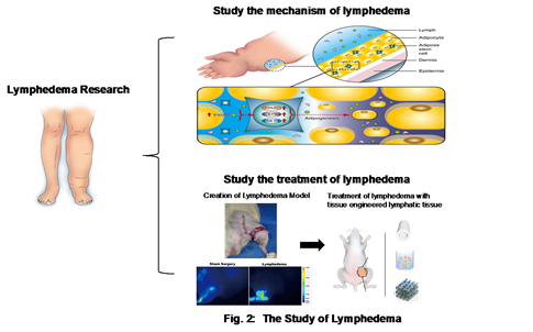 Fig.2