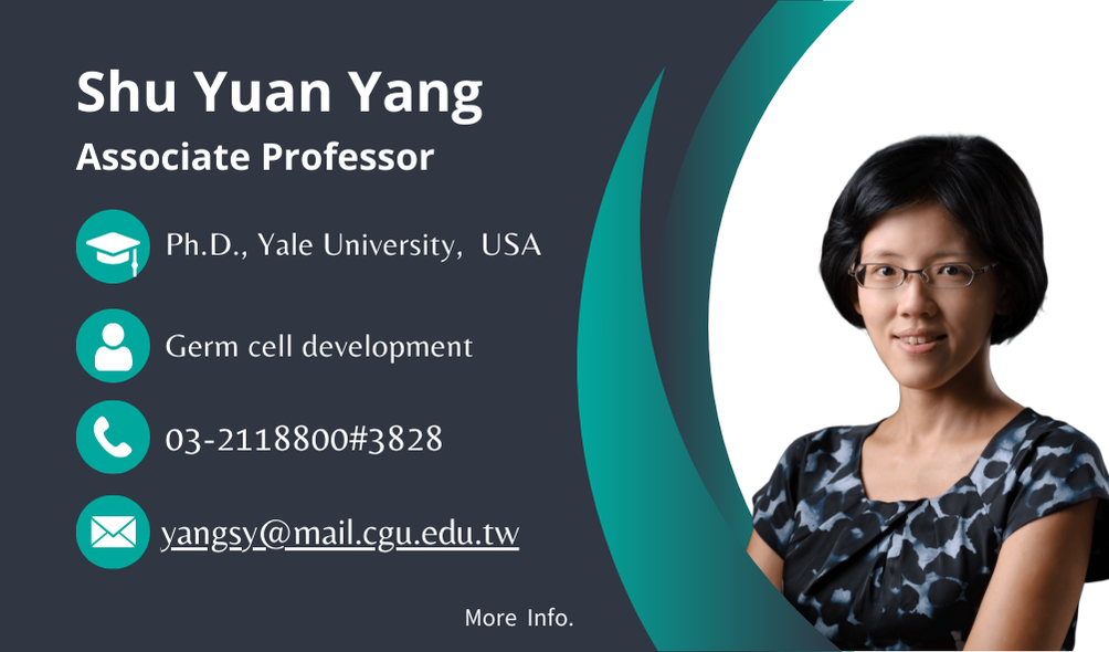 SY Yang