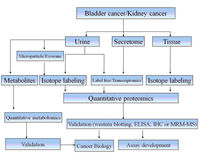 Using a Systems Approach to Discover and Assess Urological Cancer Biomarkers