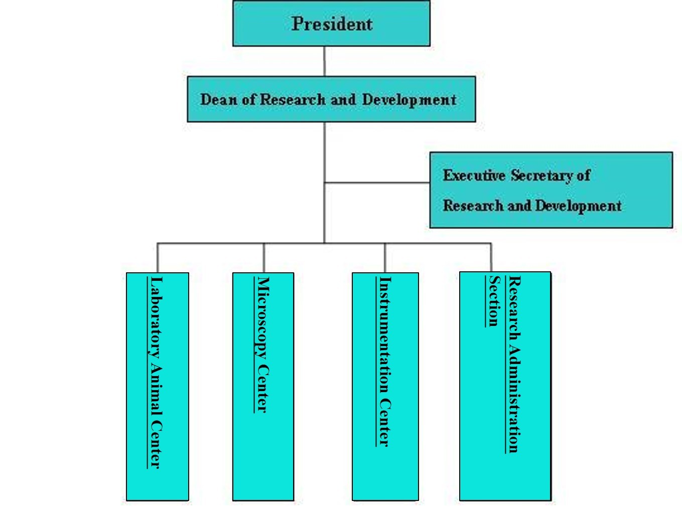 Organization