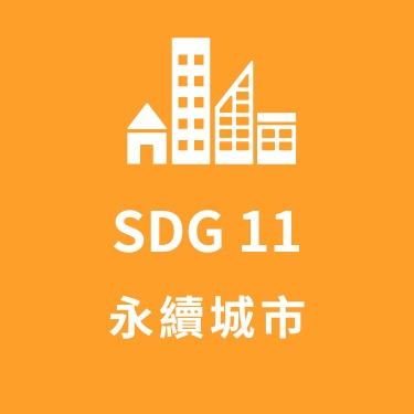 SDG11