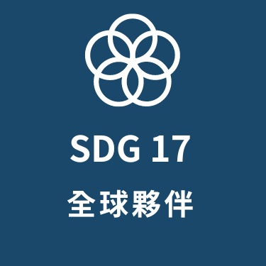 SDG17